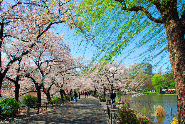 TOKYO JAPAN